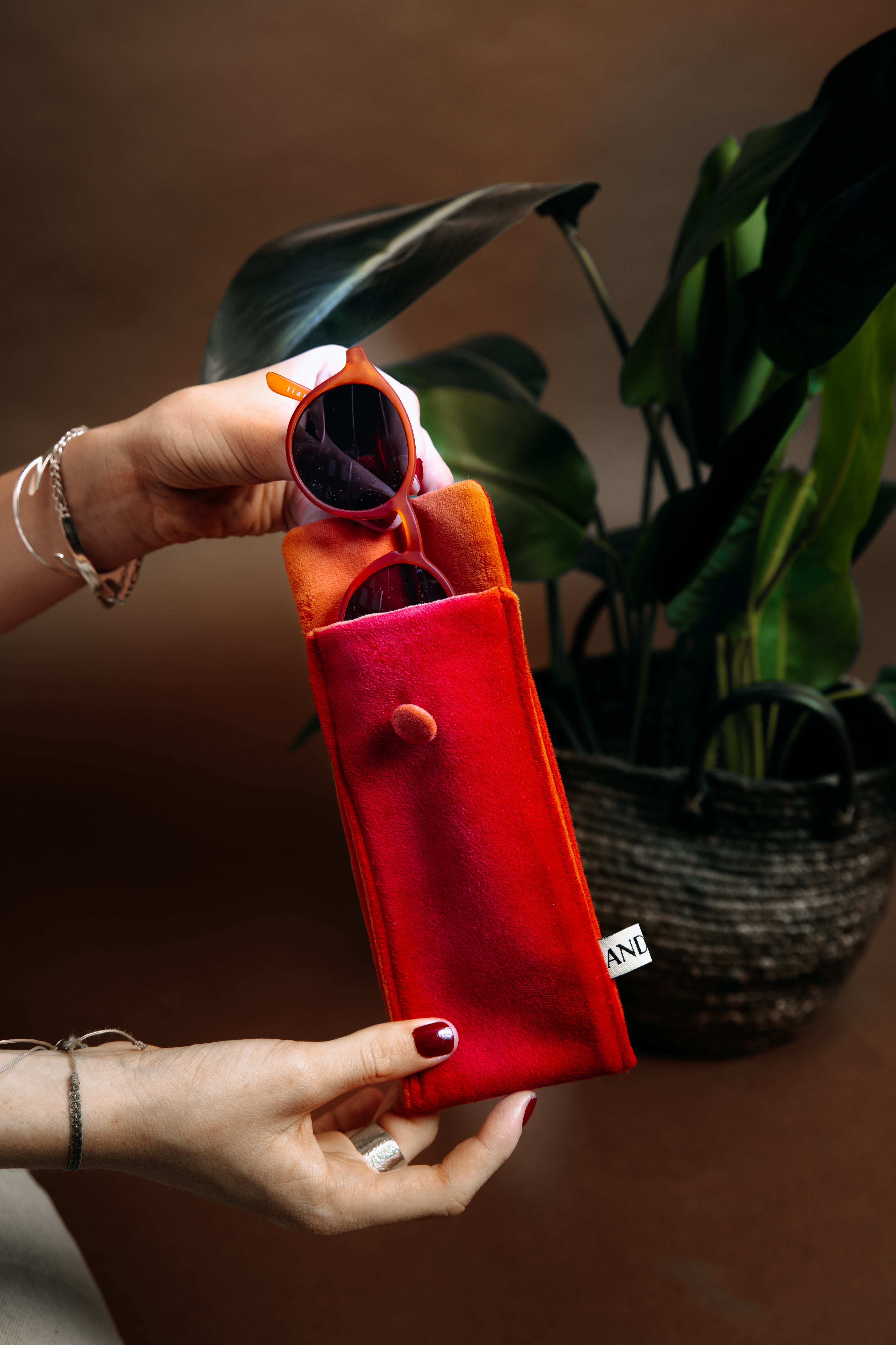 Porta Anteojos ISA verde / morado